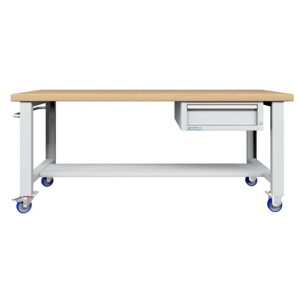 BANCO LAVORO CON RUOTE E CASSETTO PROFESSIONALE 75 x 200 cm portata 400 KG.